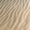 Sable